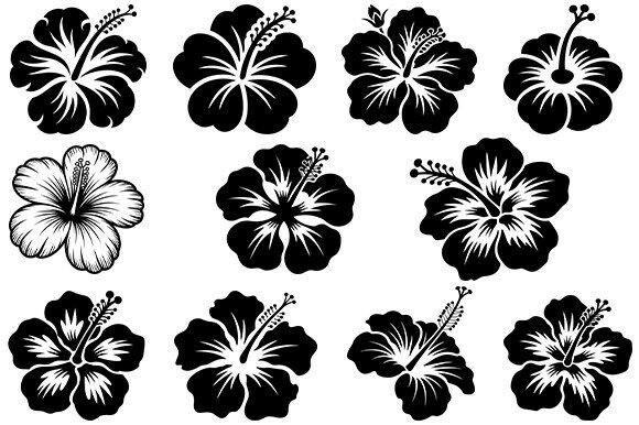 Hibiscus Floral Svg,Flower Bundle